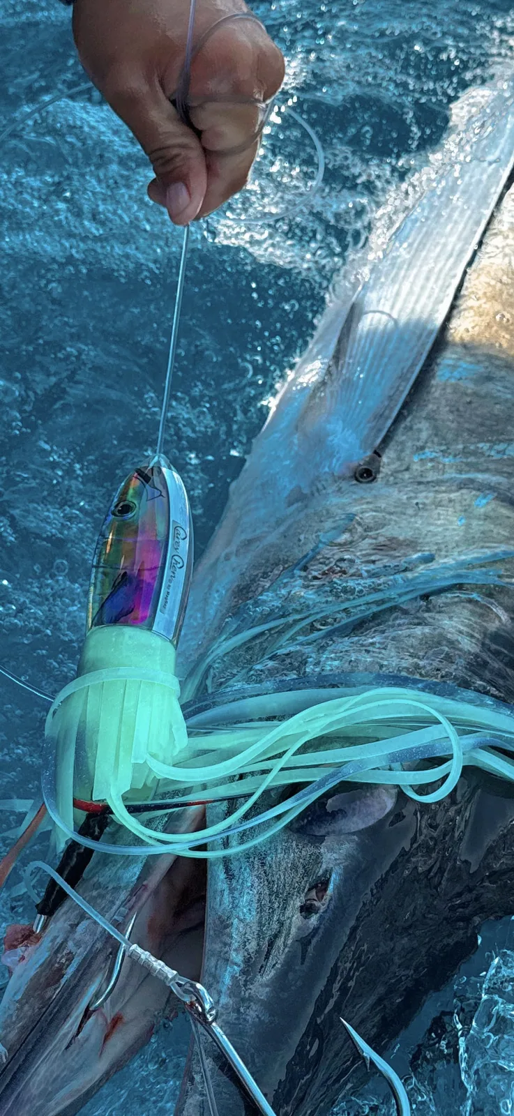 Cabo San Lucas sportfishing photo 140 — catch and crew aboard the Tag Cabo fleet
