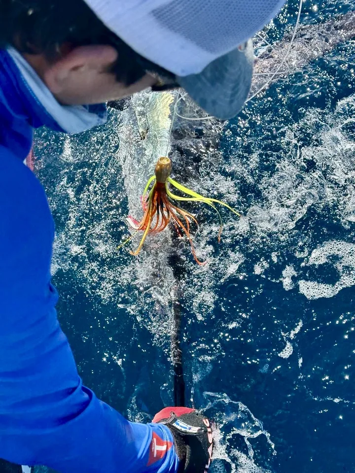 Cabo San Lucas sportfishing photo 072 — catch and crew aboard the Tag Cabo fleet