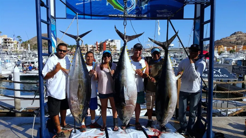 Deep Sea Fishing in Los Cabos: The Ultimate Vacation Experience