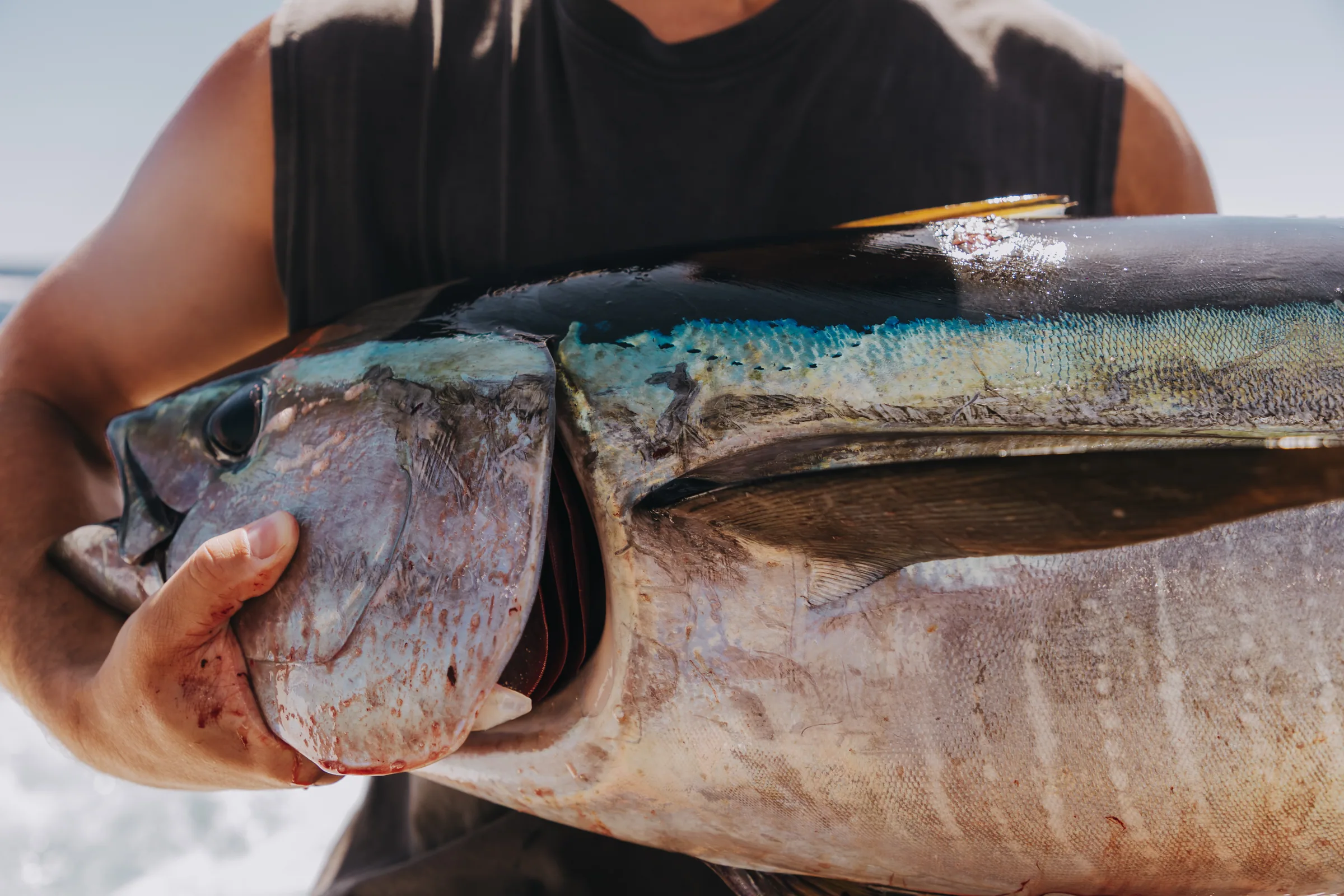 Cabo San Lucas sportfishing photo 063 — catch and crew aboard the Tag Cabo fleet