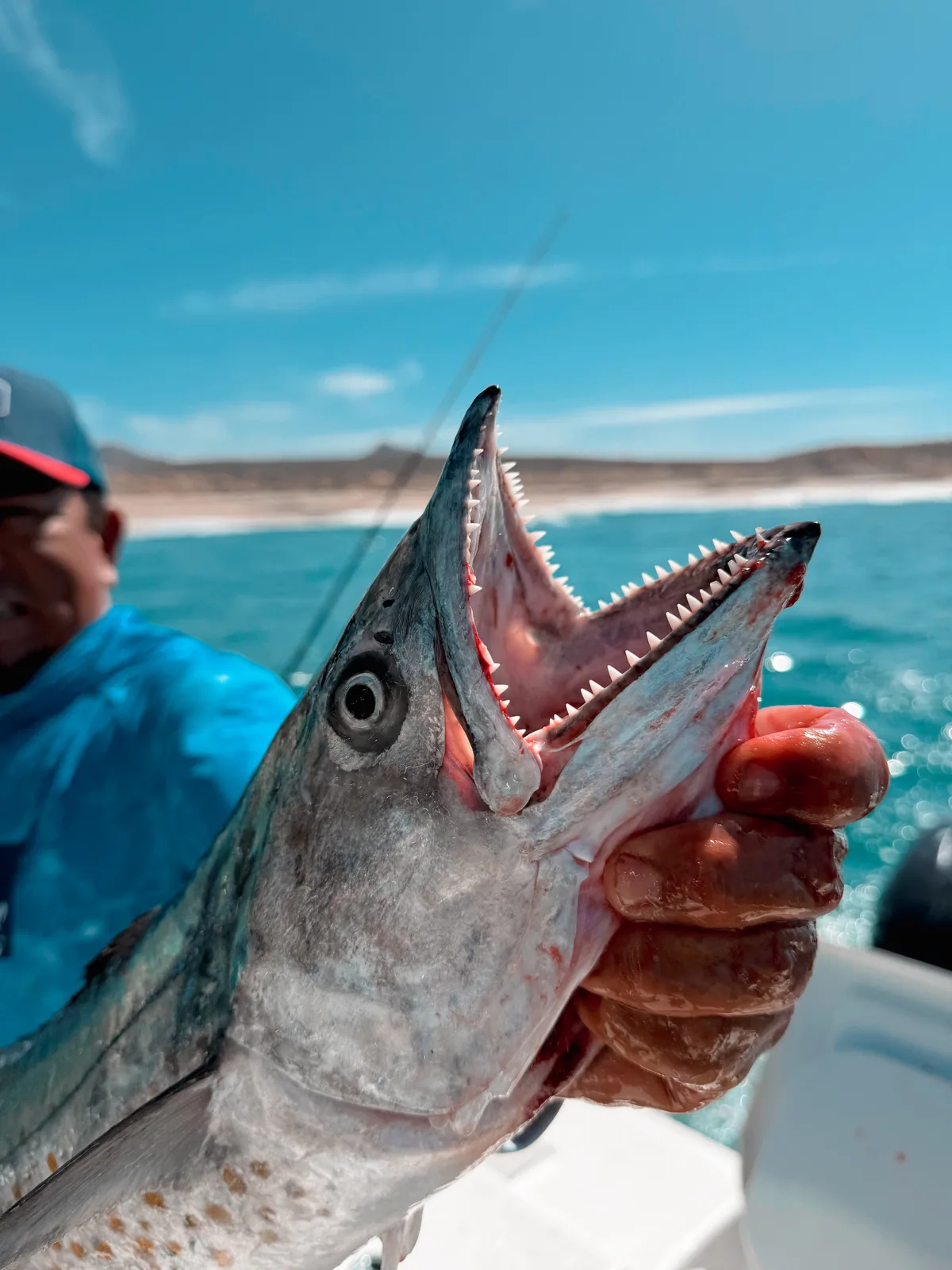 Cabo San Lucas sportfishing photo 157 — catch and crew aboard the Tag Cabo fleet