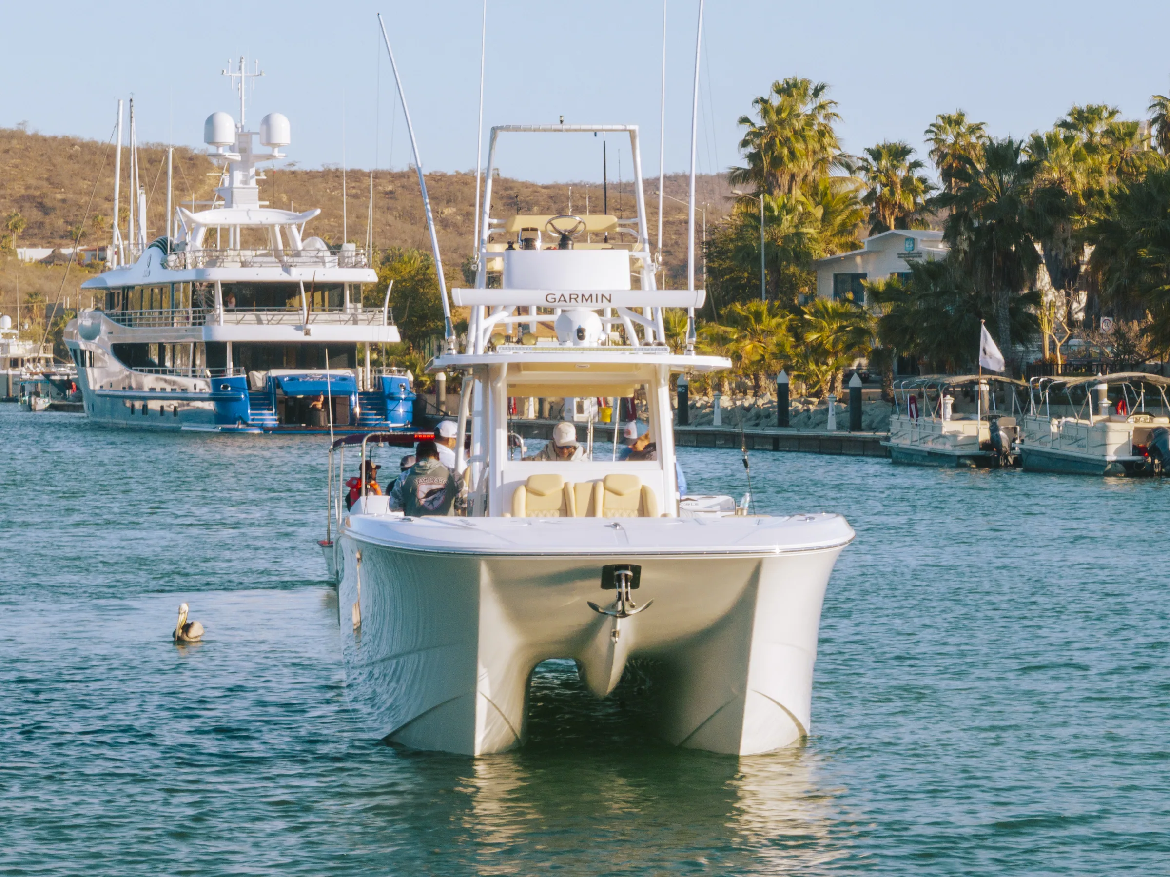 Cabo San Lucas sportfishing photo 053 — catch and crew aboard the Tag Cabo fleet