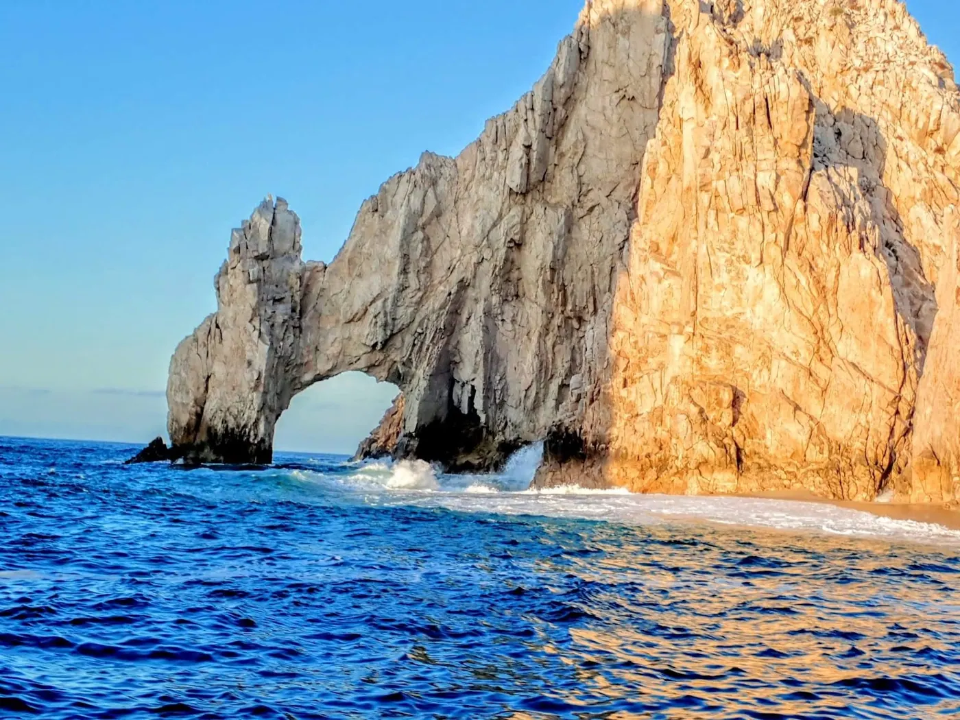 Catch photo shared by melissa Stoffel on their Tag Cabo Sportfishing review