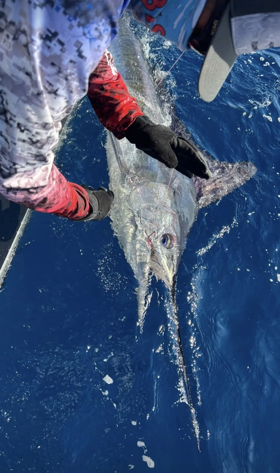 Cabo San Lucas sportfishing photo 217 — catch and crew aboard the Tag Cabo fleet