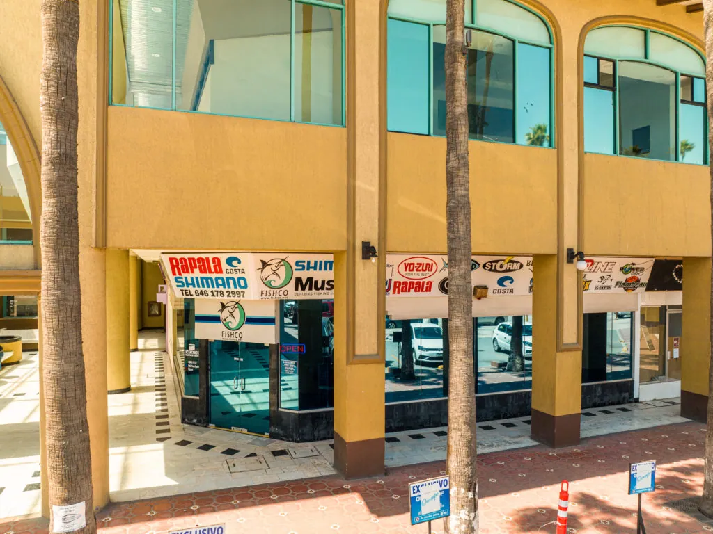 The Angler's Paradise with Fishco Pesca Deportiva in Ensenada