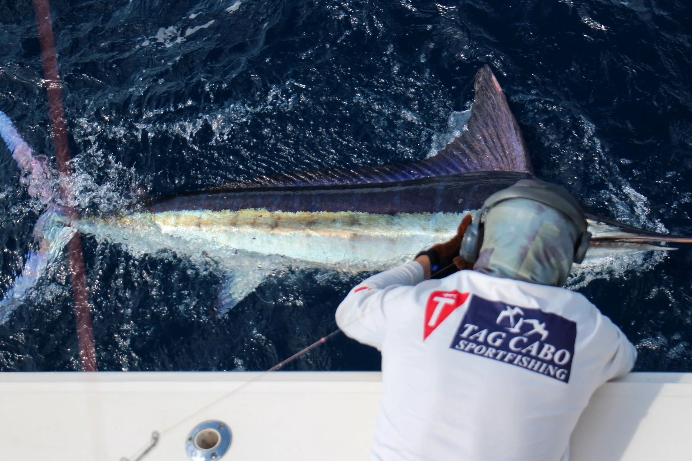 Cabo San Lucas sportfishing photo 250 — catch and crew aboard the Tag Cabo fleet