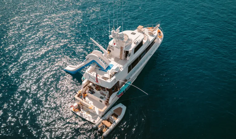 Mag Bay Charters in Cabo San Lucas