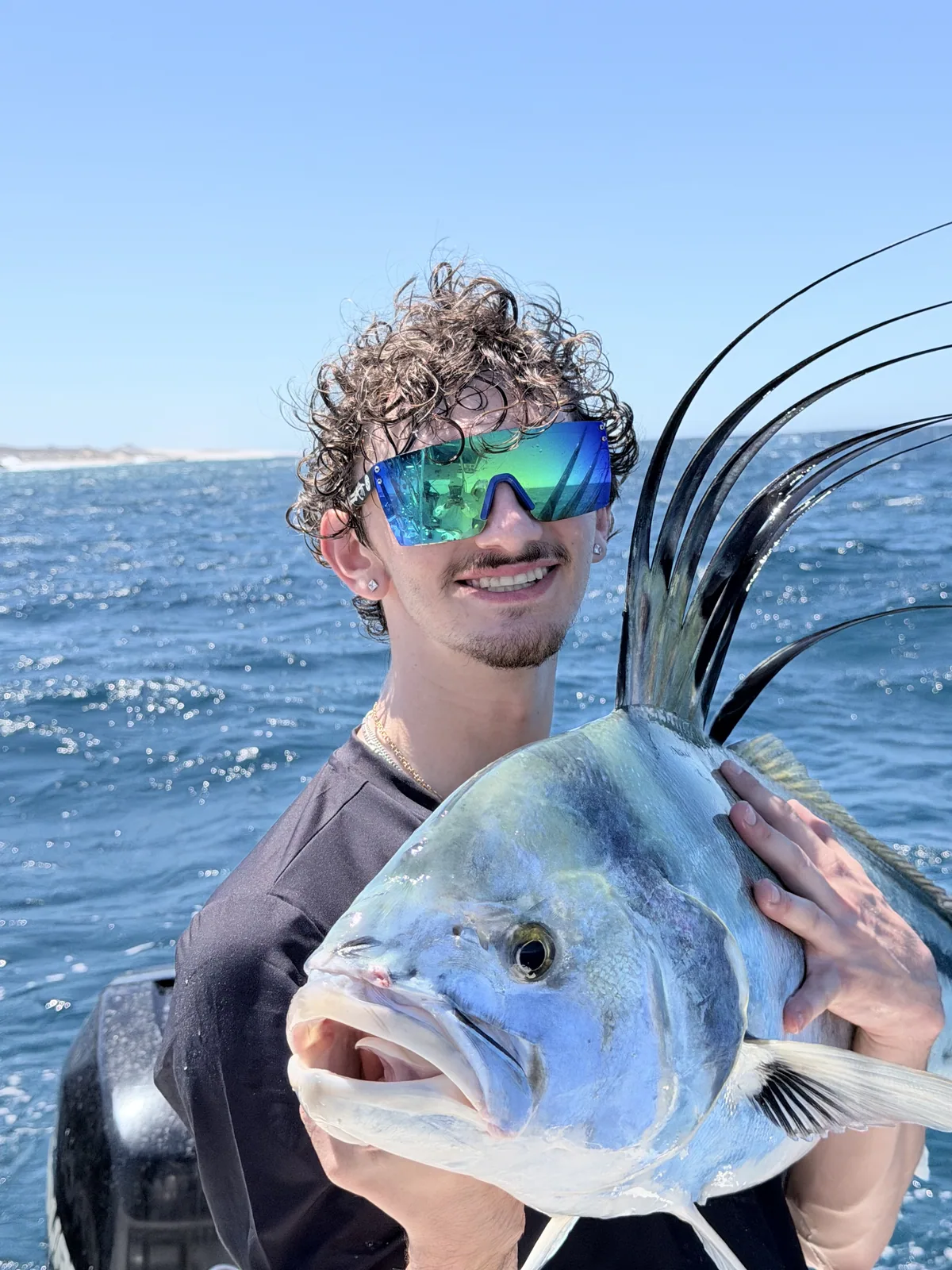 Roosterfish