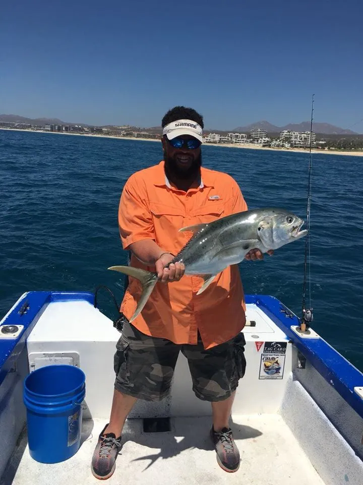 Cabo San Lucas fishing report May 1st 2018