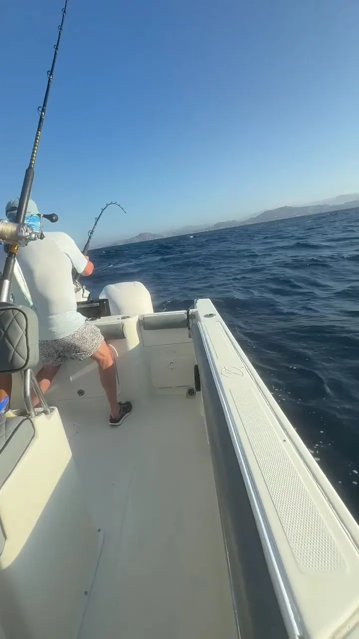 Catch photo shared by Billy Reed on their Tag Cabo Sportfishing review