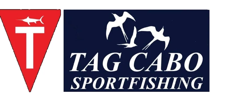 Cabo San Lucas sportfishing photo 009 — catch and crew aboard the Tag Cabo fleet