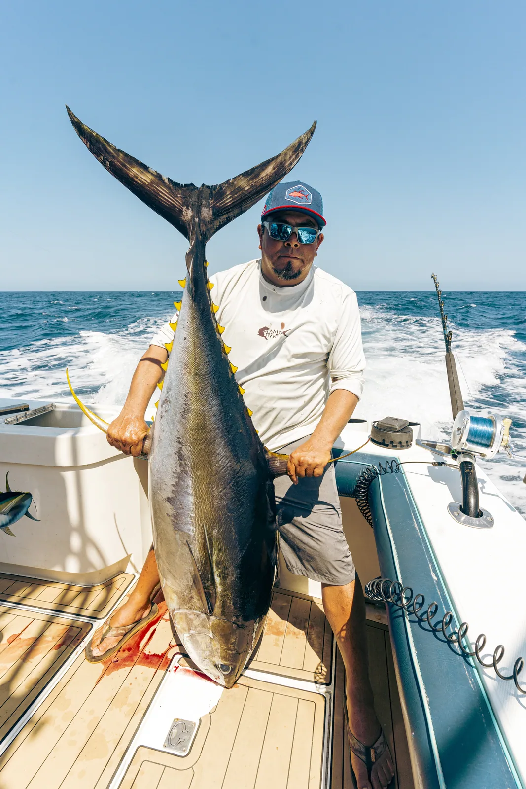 Yellowfin Tuna