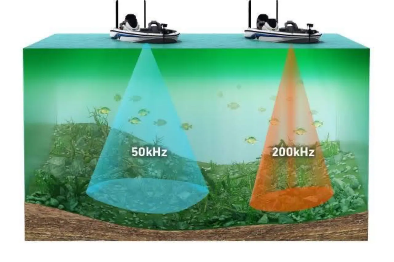 Understanding Fish Identification Through Modern Sonar Technology