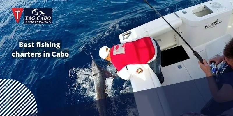 Does fishing help with mental health? Learn How! Cabo fishing charters