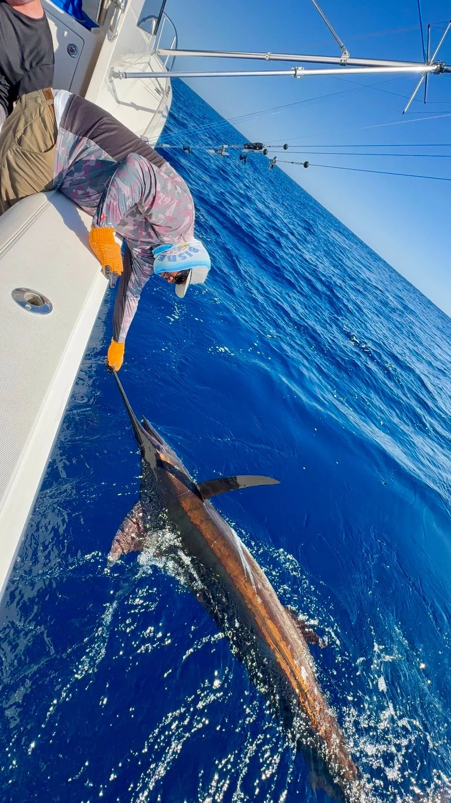 Cabo San Lucas sportfishing photo 246 — catch and crew aboard the Tag Cabo fleet