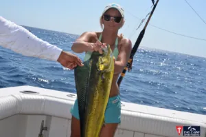 deep sea fishing in Cabo, Cabo yacht charters, Cabo sportfishing reports, Cabo fishing reports, Cabo sportfishing rentals, Cabo sportfishing charters, Gordo bank fishing,