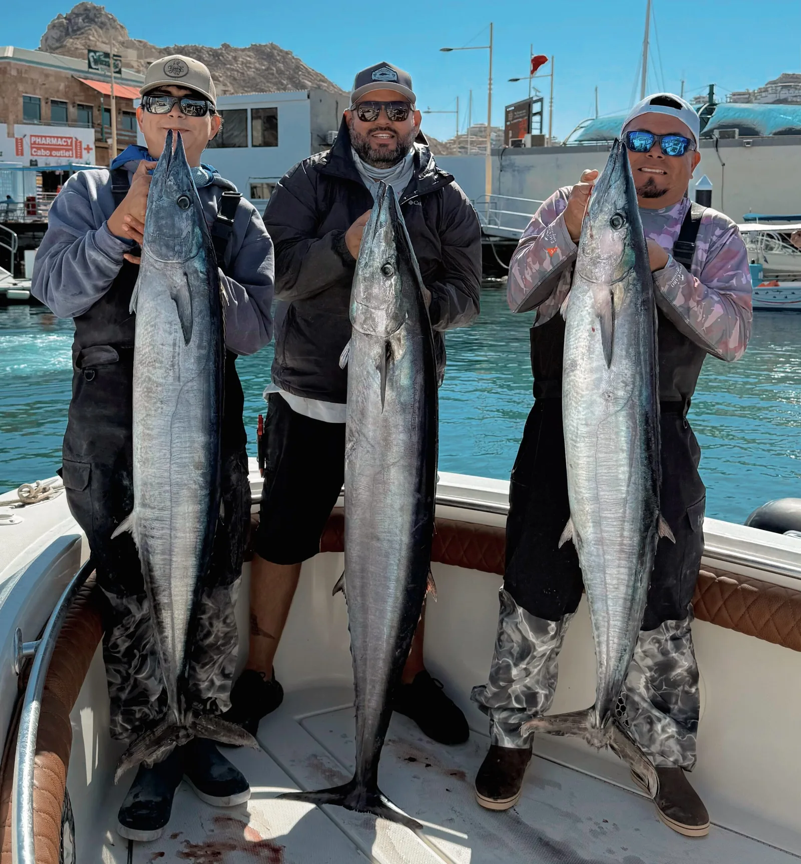 Tournament catch with Tag Cabo Sportfishing