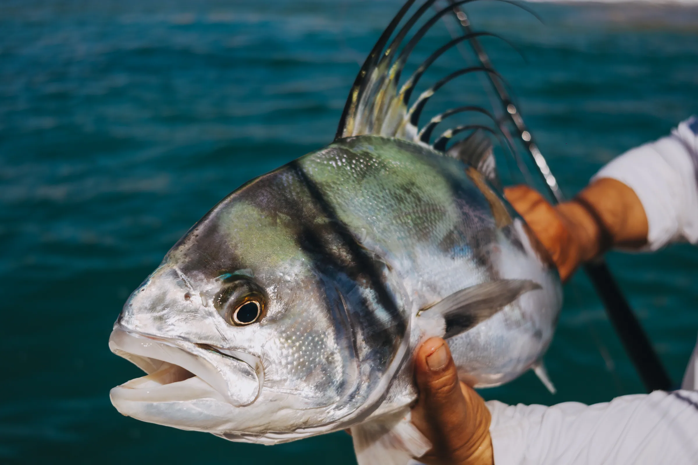 Cabo San Lucas sportfishing photo 081 — catch and crew aboard the Tag Cabo fleet