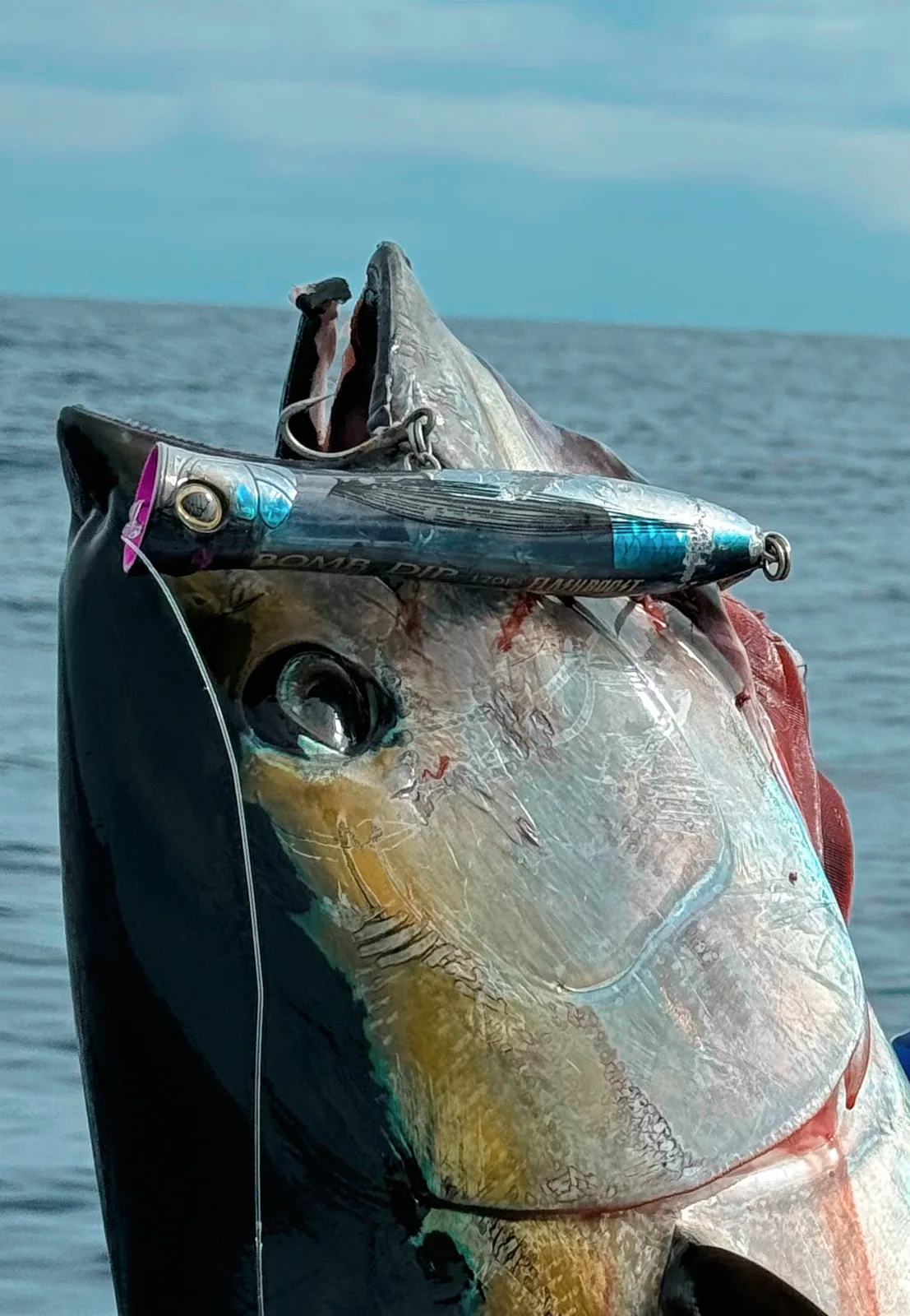 Cabo San Lucas sportfishing photo 172 — catch and crew aboard the Tag Cabo fleet