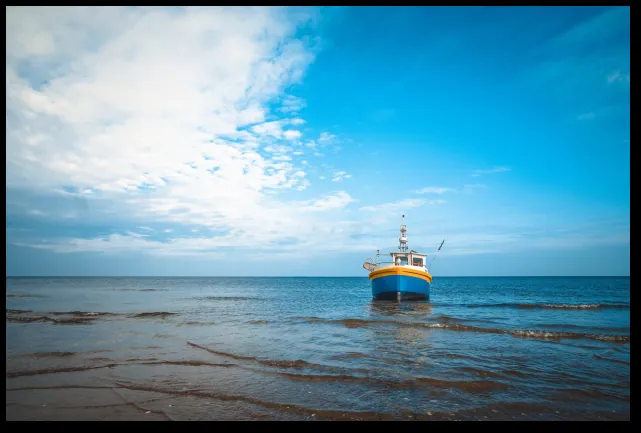 The Time Is Now—4 Reasons Why We Should Protect Our Oceans