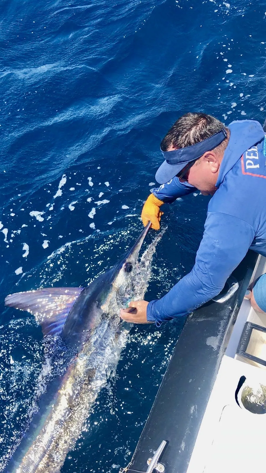 Cabo San Lucas sportfishing photo 094 — catch and crew aboard the Tag Cabo fleet