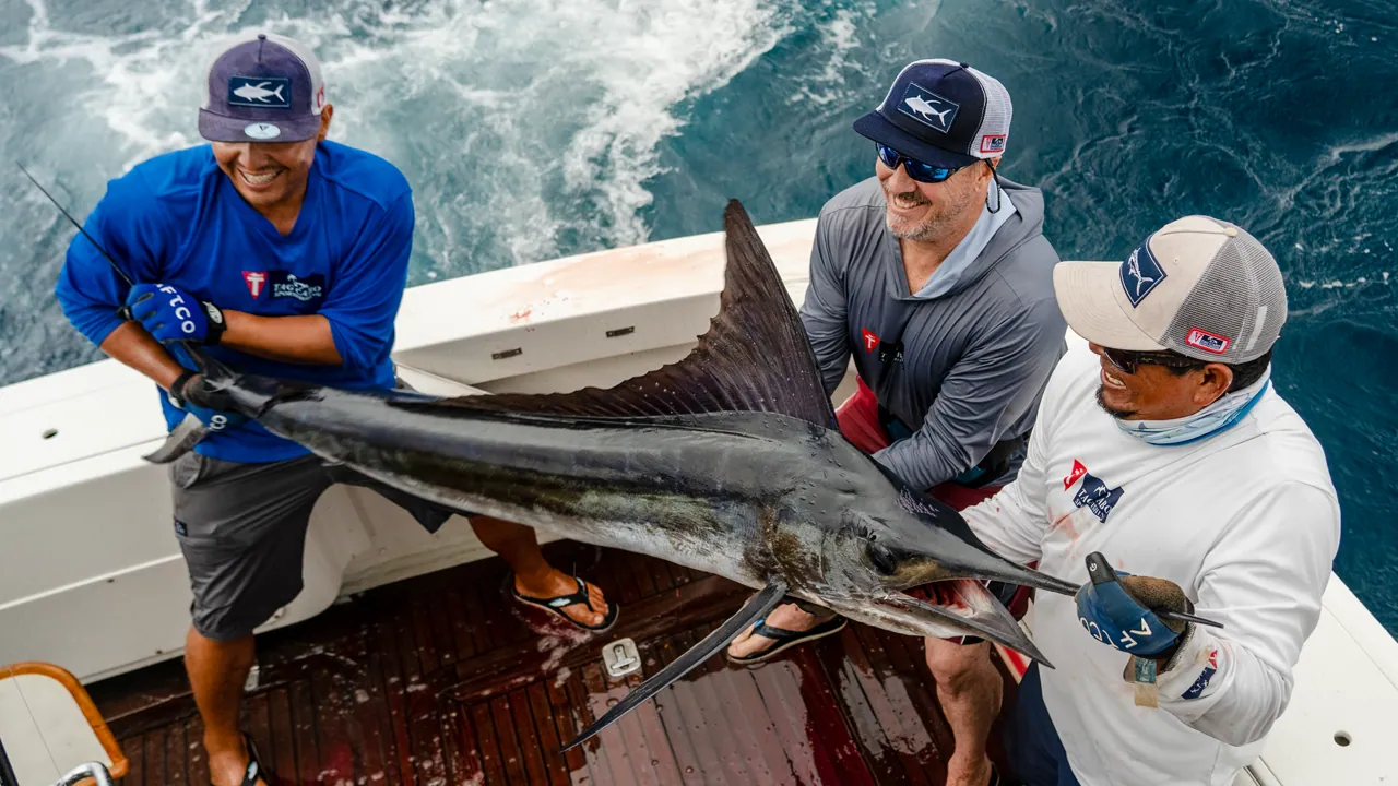 Advantages of a guided fishing trip on Cabo fishing charters