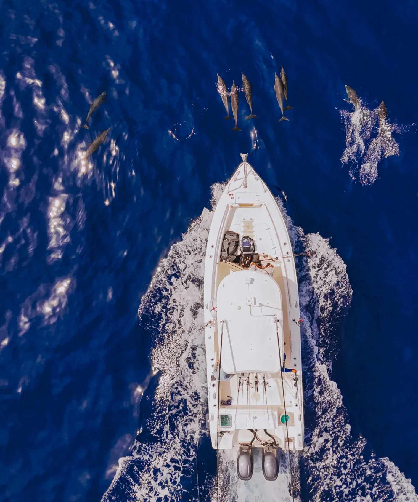 Yellowfin tuna caught on poppers at the East Cape