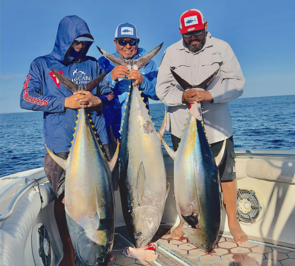 Cabo Tuna Fishing Trips