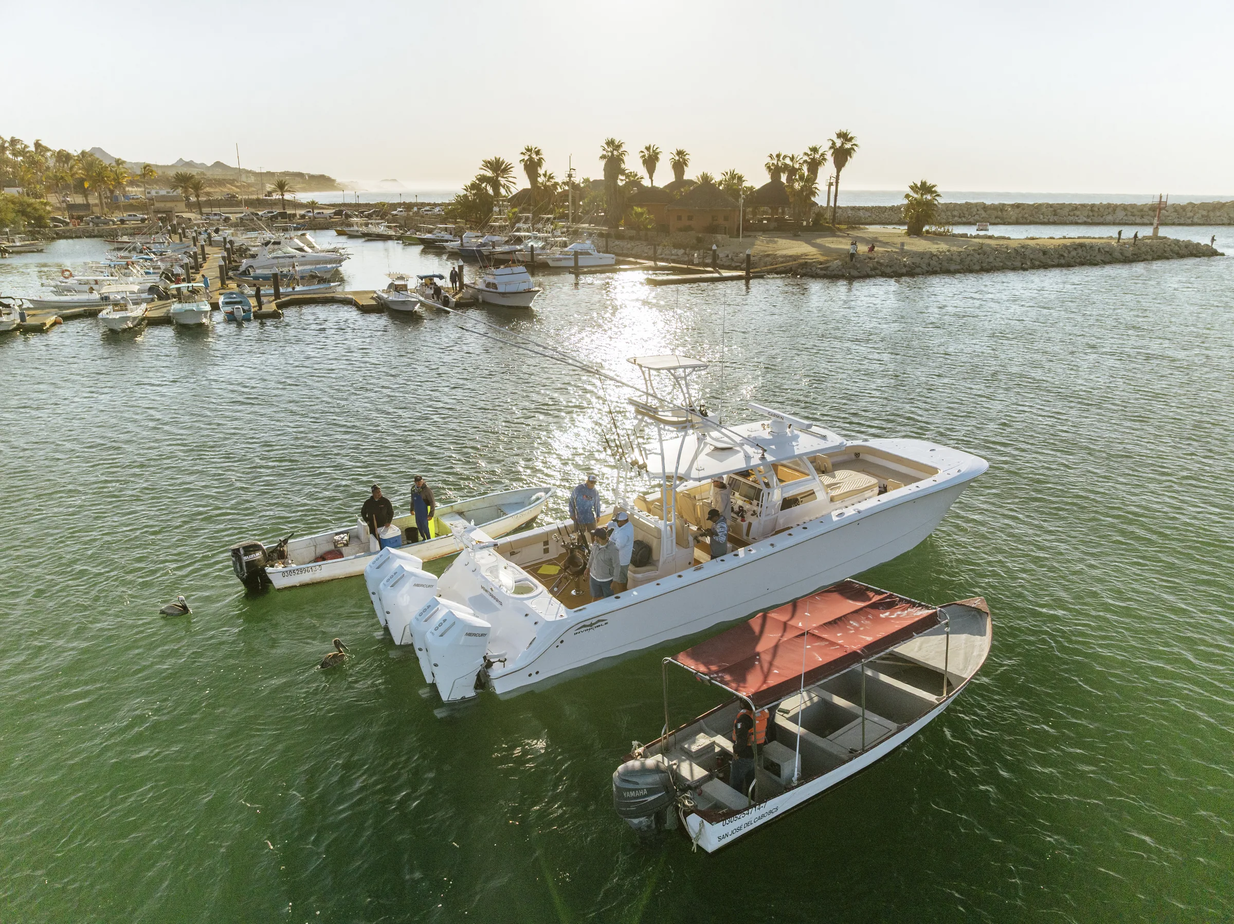 Cabo San Lucas sportfishing photo 052 — catch and crew aboard the Tag Cabo fleet