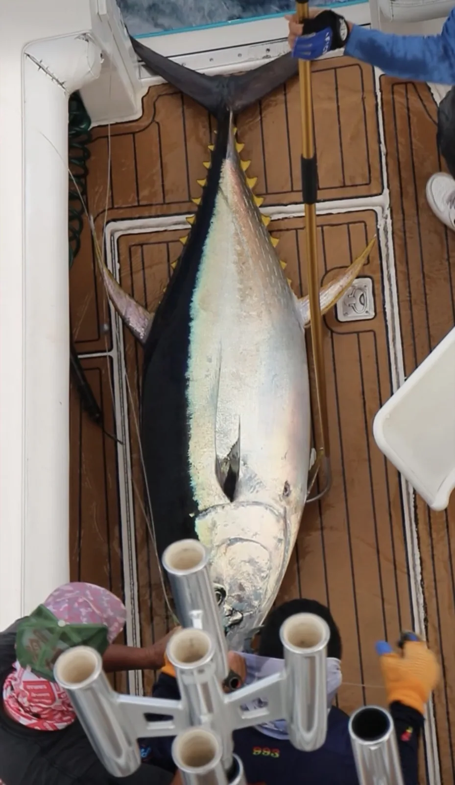 Cabo San Lucas sportfishing photo 011 — catch and crew aboard the Tag Cabo fleet