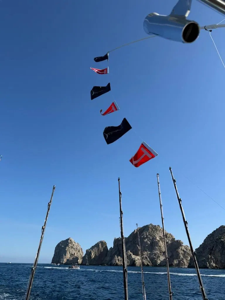 Catch photo shared by Patrick Skaar on their Tag Cabo Sportfishing review