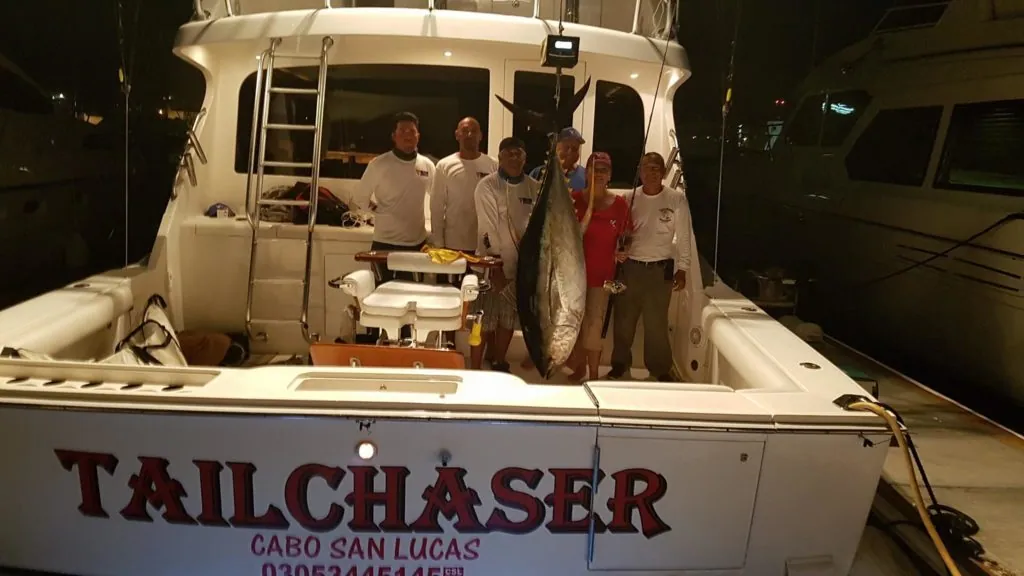 Cabo fishing report September