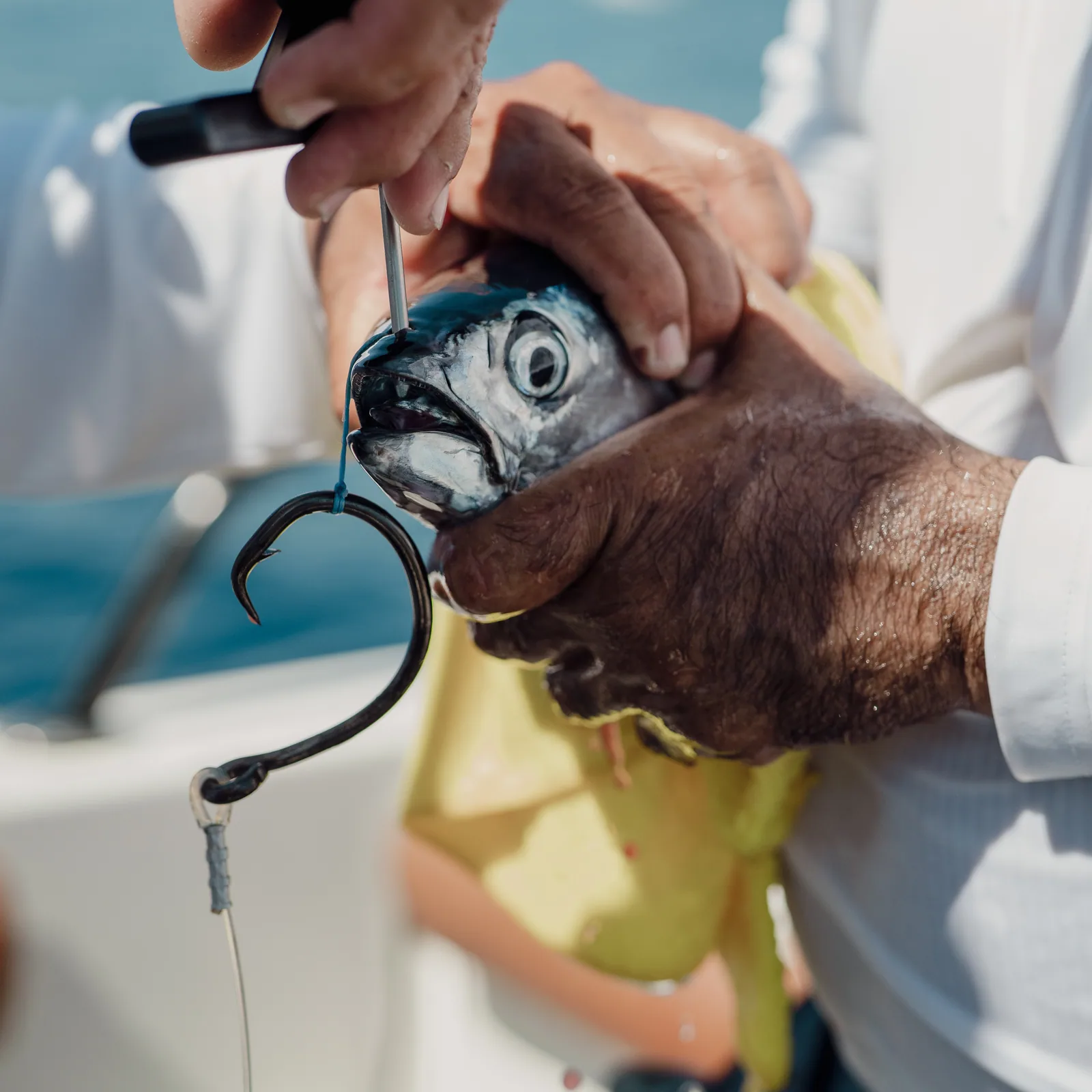 Cabo San Lucas sportfishing photo 086 — catch and crew aboard the Tag Cabo fleet