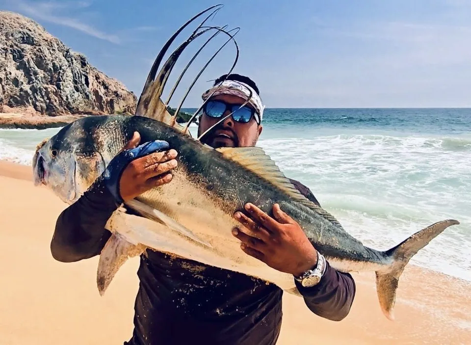 Surf Fishing in Cabo San Lucas