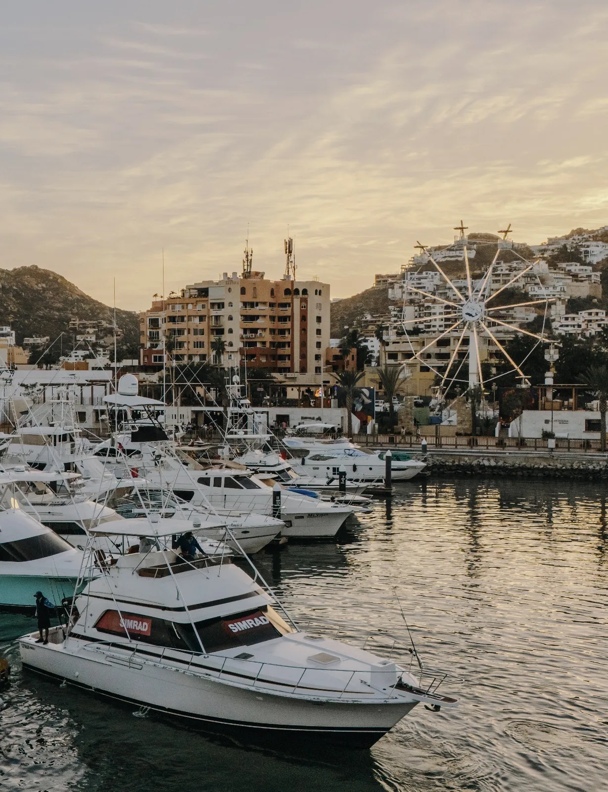 Cabo San Lucas sportfishing photo 074 — catch and crew aboard the Tag Cabo fleet