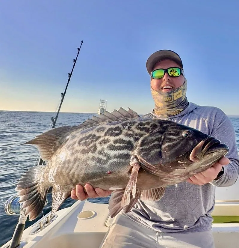 Snapper & Grouper