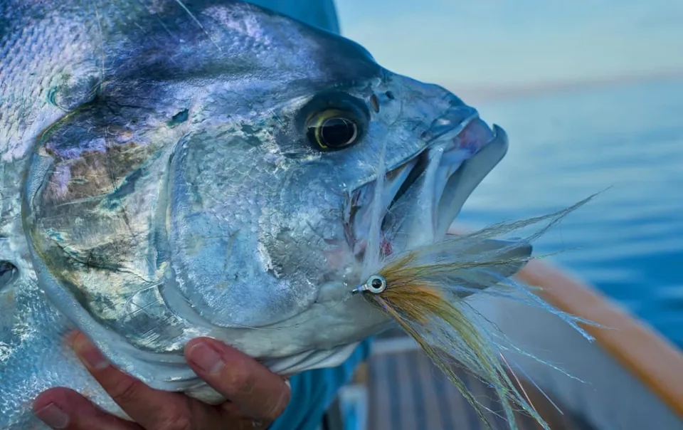 Cabo San Lucas sportfishing photo 116 — catch and crew aboard the Tag Cabo fleet