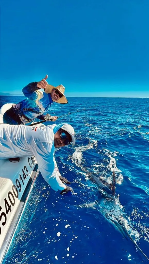 Striped Marlin