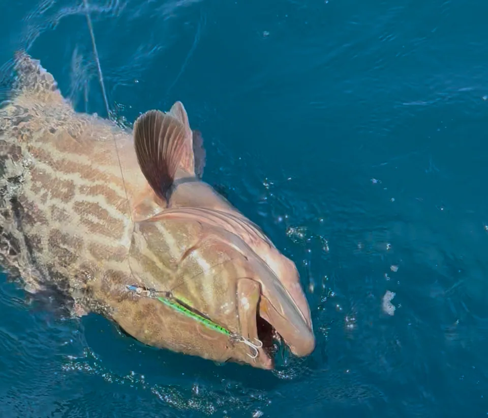 Cabo San Lucas sportfishing photo 118 — catch and crew aboard the Tag Cabo fleet