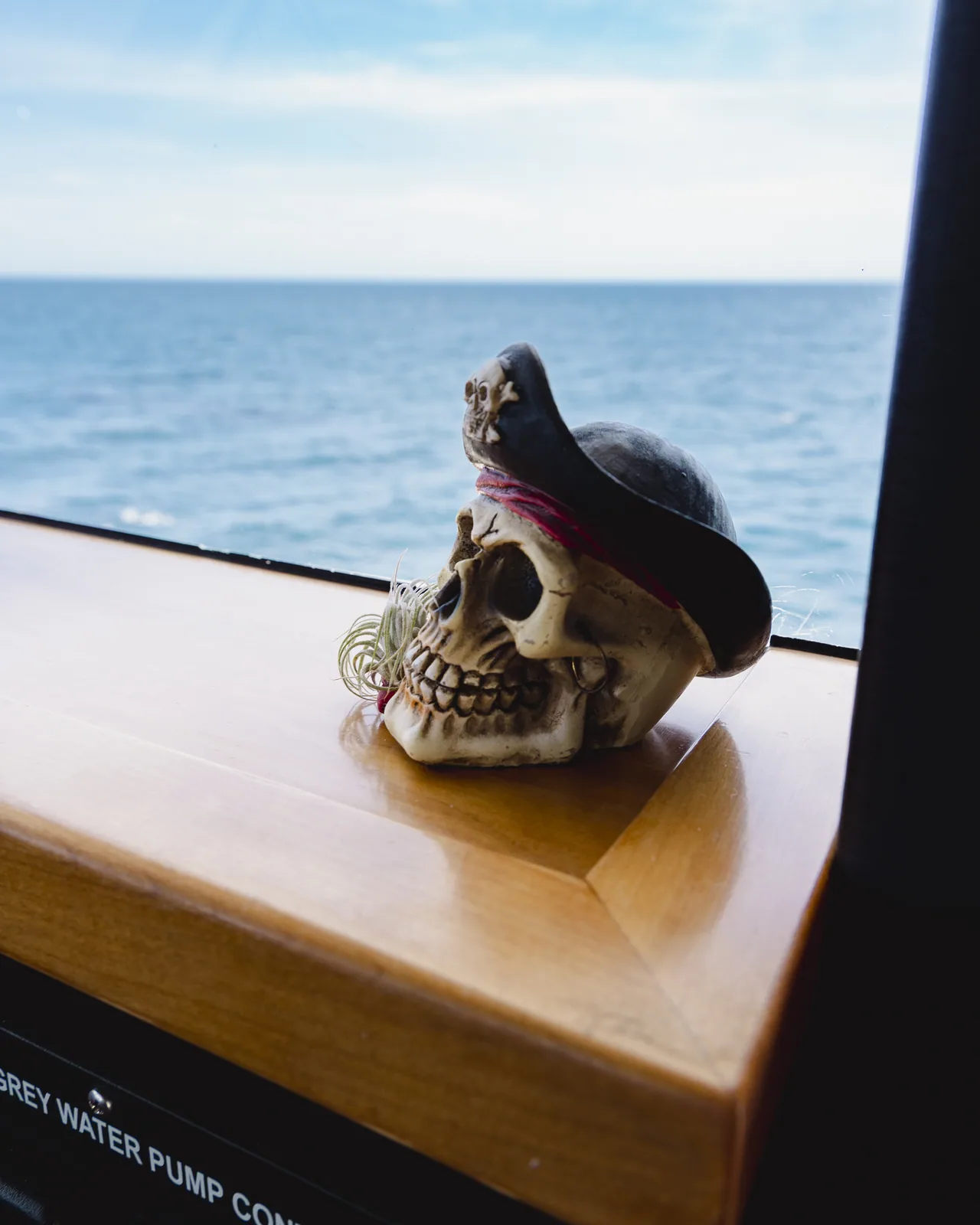 Cabo San Lucas sportfishing photo 252 — catch and crew aboard the Tag Cabo fleet
