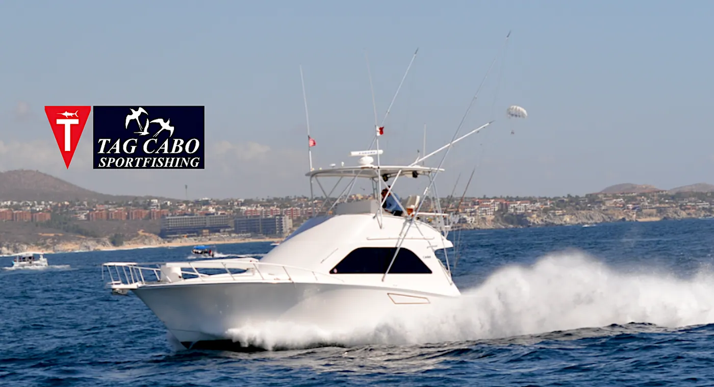Cabo fishing reports/ Cabo fishing report July 26th 2017