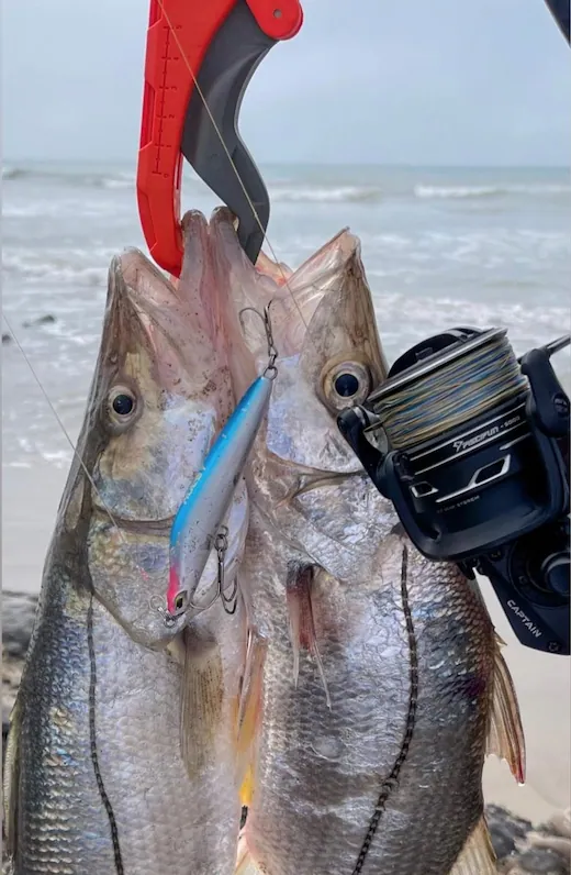 An Introduction To The Spinning Lures