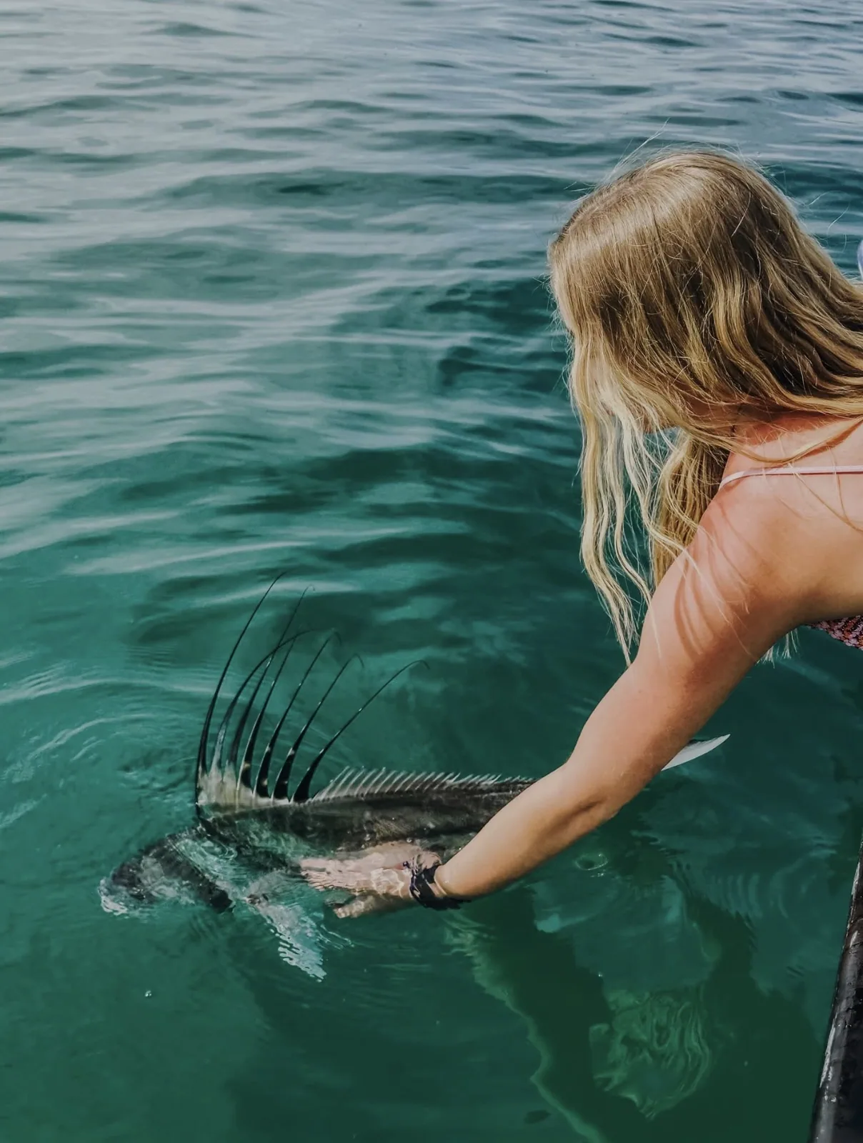 Cabo San Lucas sportfishing photo 096 — catch and crew aboard the Tag Cabo fleet