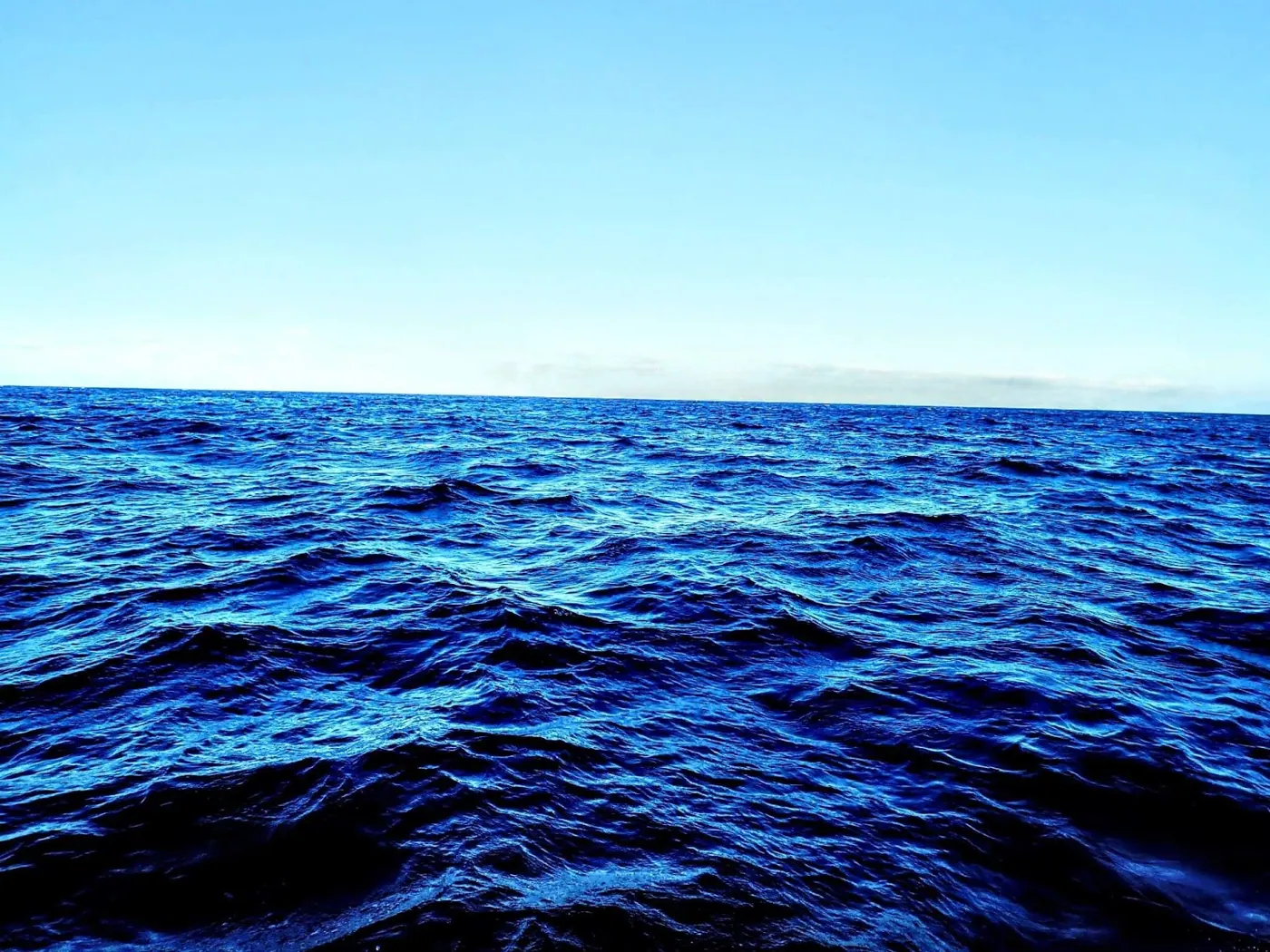 Catch photo shared by melissa Stoffel on their Tag Cabo Sportfishing review