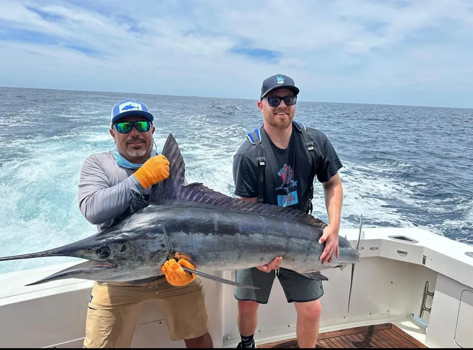 Blue & Black Marlin