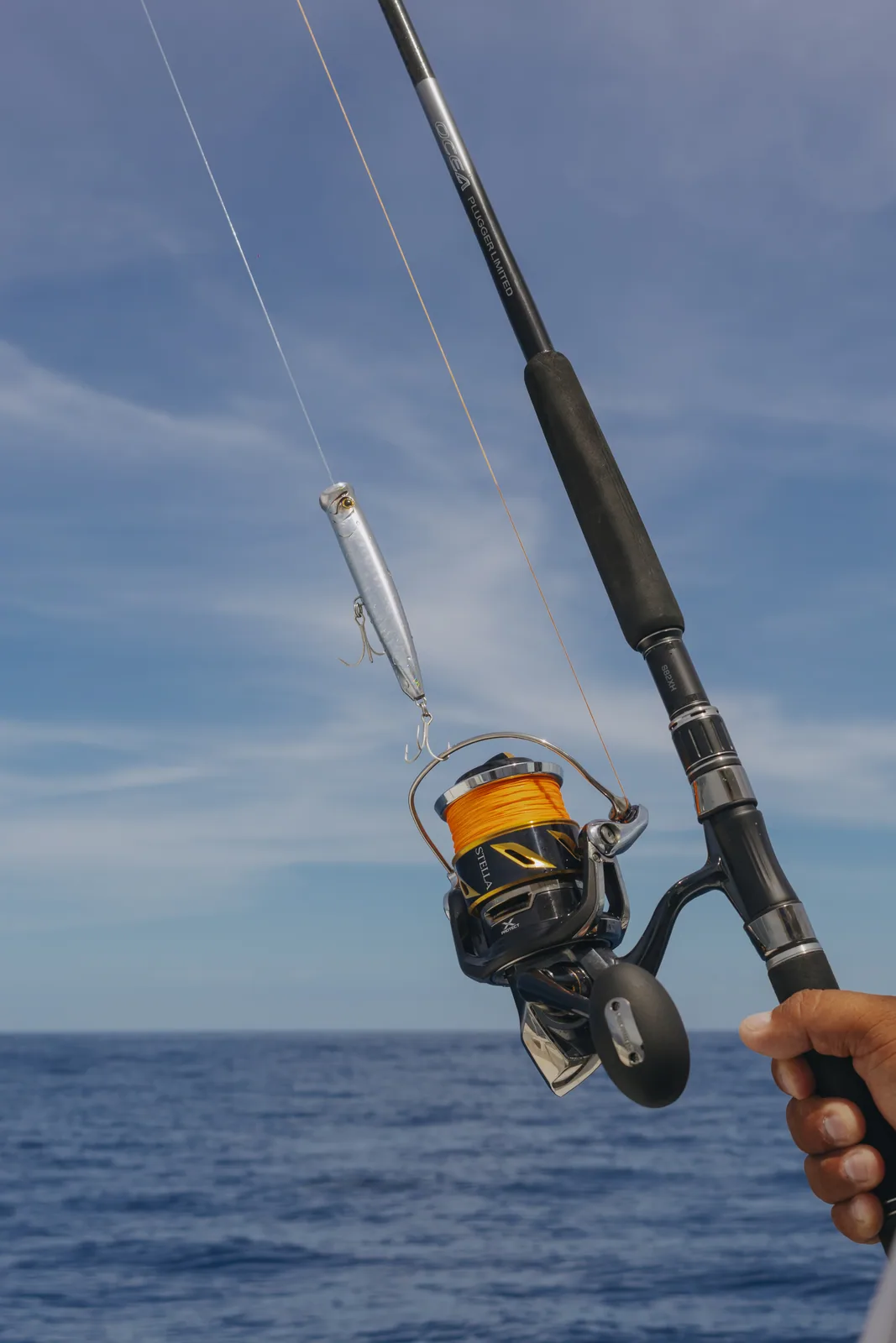 Cabo San Lucas sportfishing photo 045 — catch and crew aboard the Tag Cabo fleet