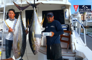 Yellowfin tuna Cabo fishing reports