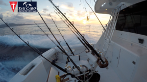 deep sea fishing in Cabo, Cabo yacht charters, Cabo sportfishing reports, Cabo fishing reports, Cabo sportfishing rentals, Cabo sportfishing charters, Gordo bank fishing,