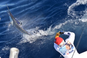 Cabo San Lucas fishing reports