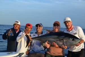 Cabo San Lucas fishing reports